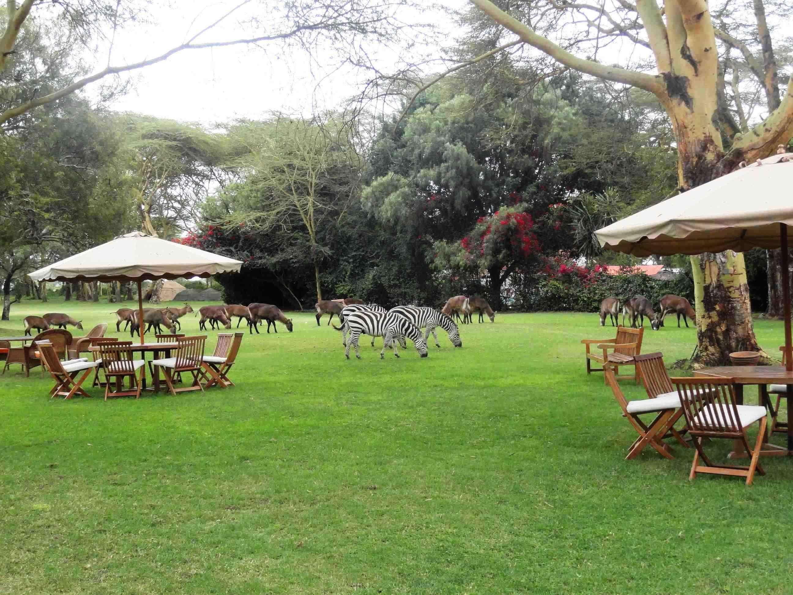 Muthu Lake Naivasha Country Club, Naivasha Karagite Extérieur photo